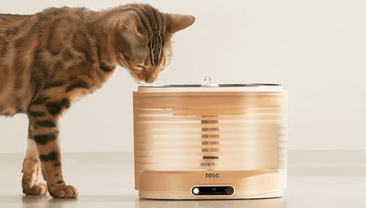 ROLA Smart Pet Water Fountain [Recensione]